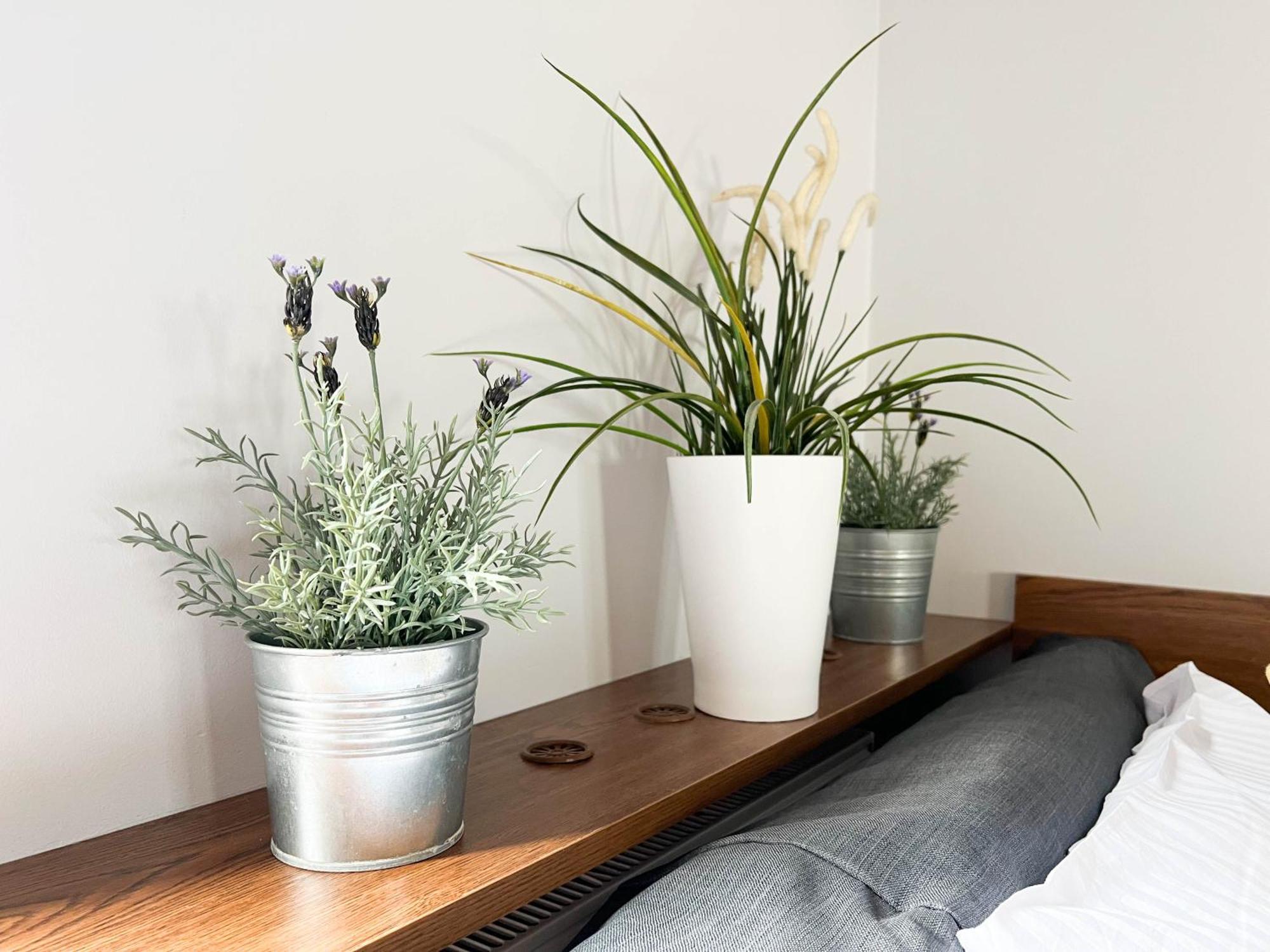 3D Szlak 77 Apartament Krakkó Kültér fotó